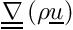 $ \gradt \left(\rho \vect{u} \right) $