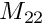 $ M_{22} $
