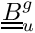$ \tens{B}_u^g $